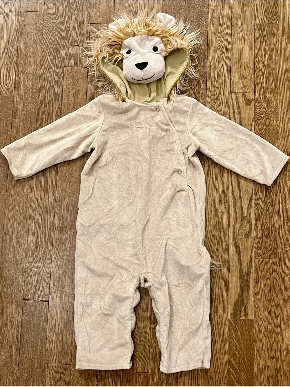 Pottery Barn Kids Baby Lion Costume - Size 12-18 Months
